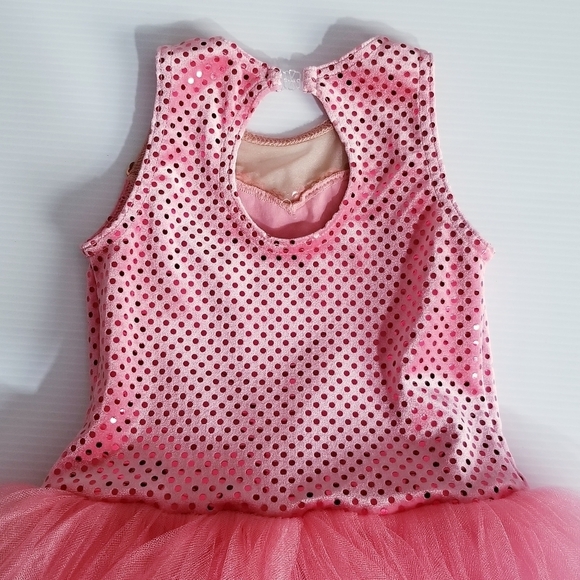 A WISH COME TRUE Gala Pink Ballet Leotard Tutu Dress Dance - Picture 11 of 15